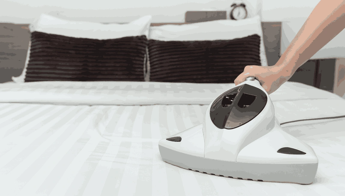 Professional Mattress Cleaning Darling